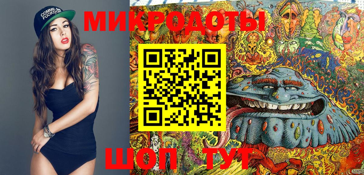 Кудрово  Галлюциногенные грибы Magic Shrooms  Вход с VPN  Псилоцибиновые грибы Psilocybe 
